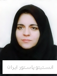 فرزین حقیقی موحد